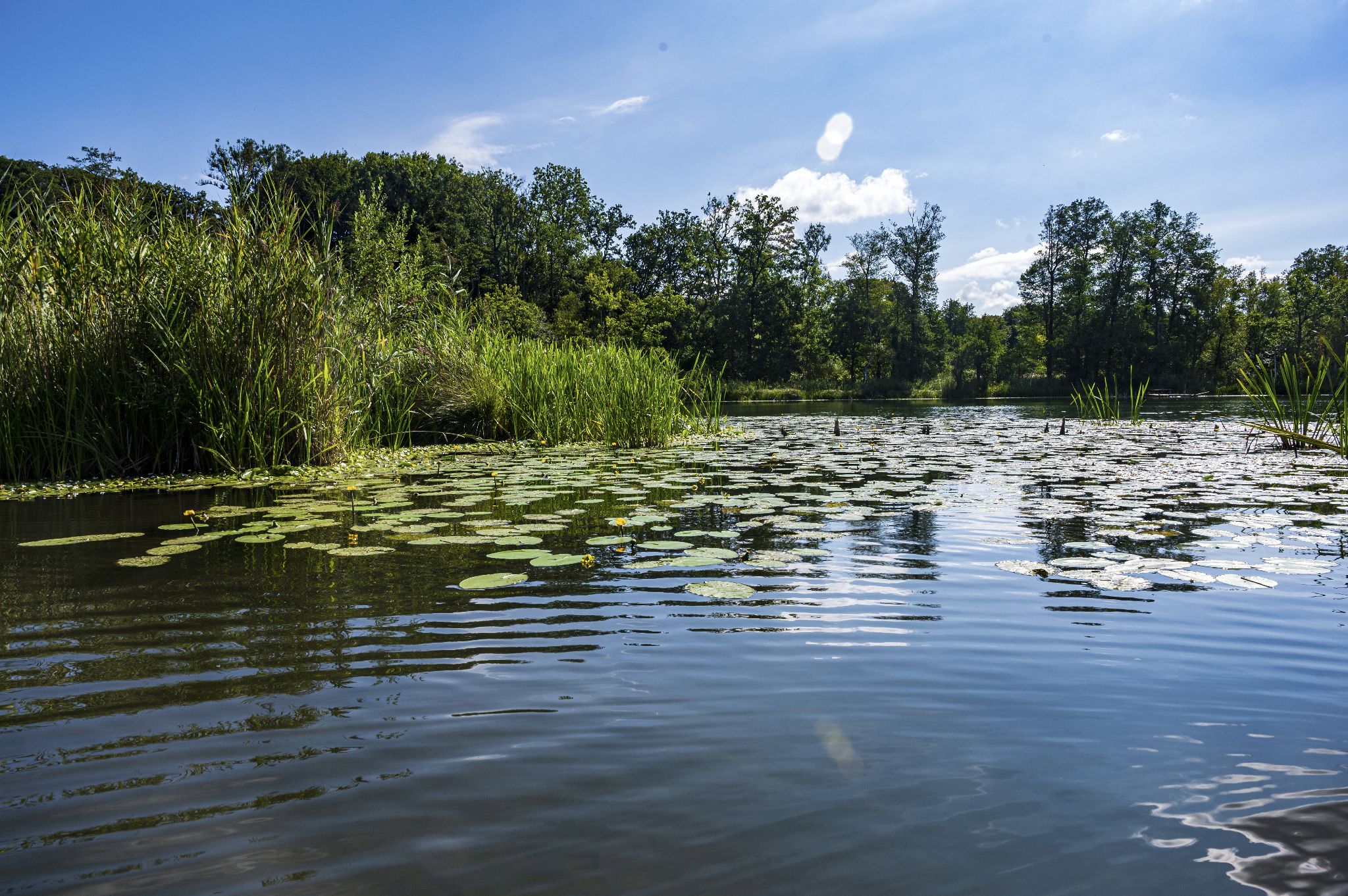 Kajaktour Leutstettner Moos 21.08.2022